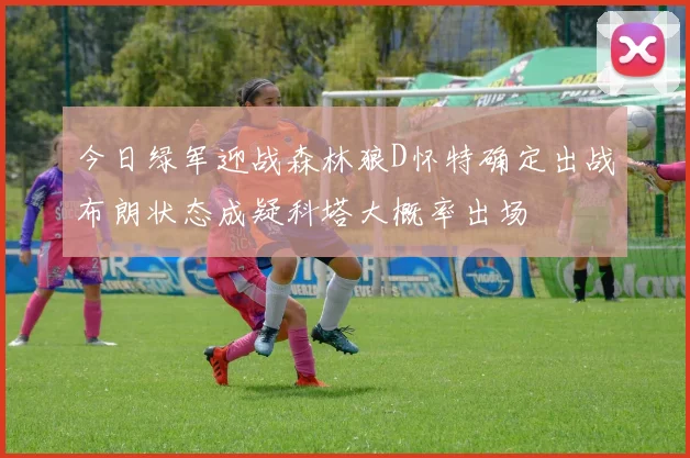 今日绿军迎战森林狼D怀特确定出战布朗状态成疑科塔大概率出场