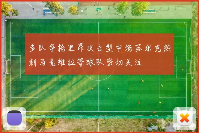 多队争抢里昂攻击型中场苏尔克热刺马竞维拉等球队密切关注