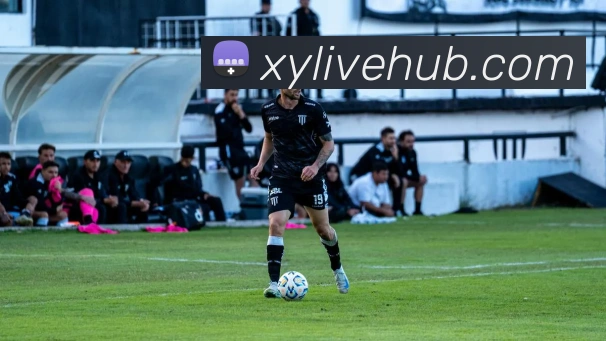 杏悦娱乐发展历程