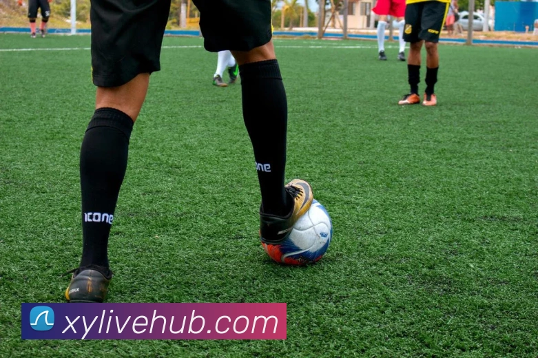 库明加签订合同后重返社交媒体分享休赛期精彩瞬间合集